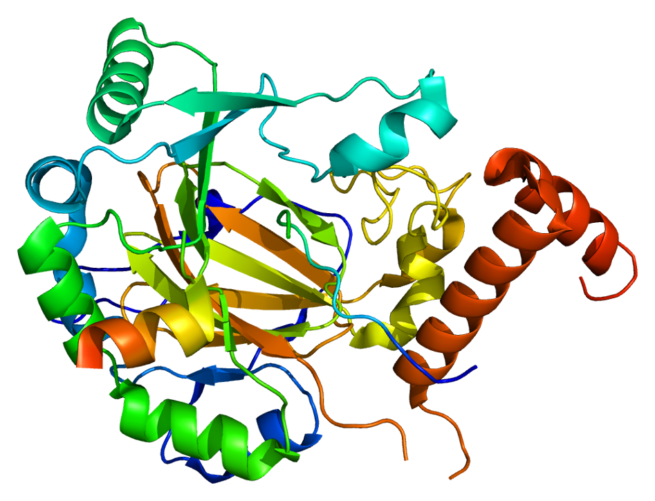 Protein HIF1A PDB 1h2k