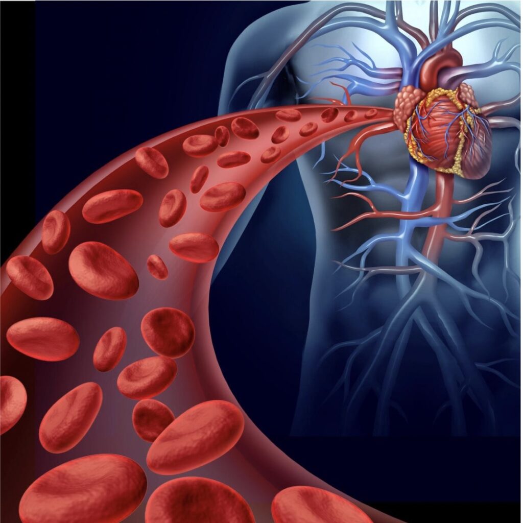 42380426 FDD6 4E4B 953A F14E0B0526A8 1024x1024